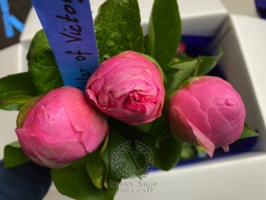 Thumbnail of Peony Altar of Victory, image 3 of 3