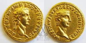 Thumbnail of Peony Caligula, image 7 of 7