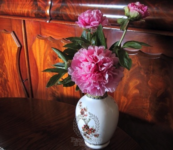 Peony Carnation Bouquet, image 5 of 5