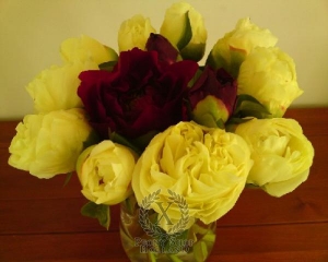 Thumbnail of Peony Lemon Chiffon, image 2 of 2