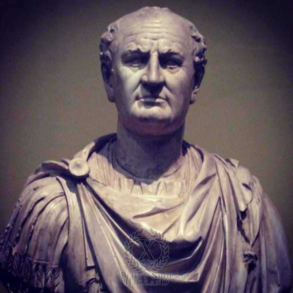 Peony Vespasian, image 6 of 6