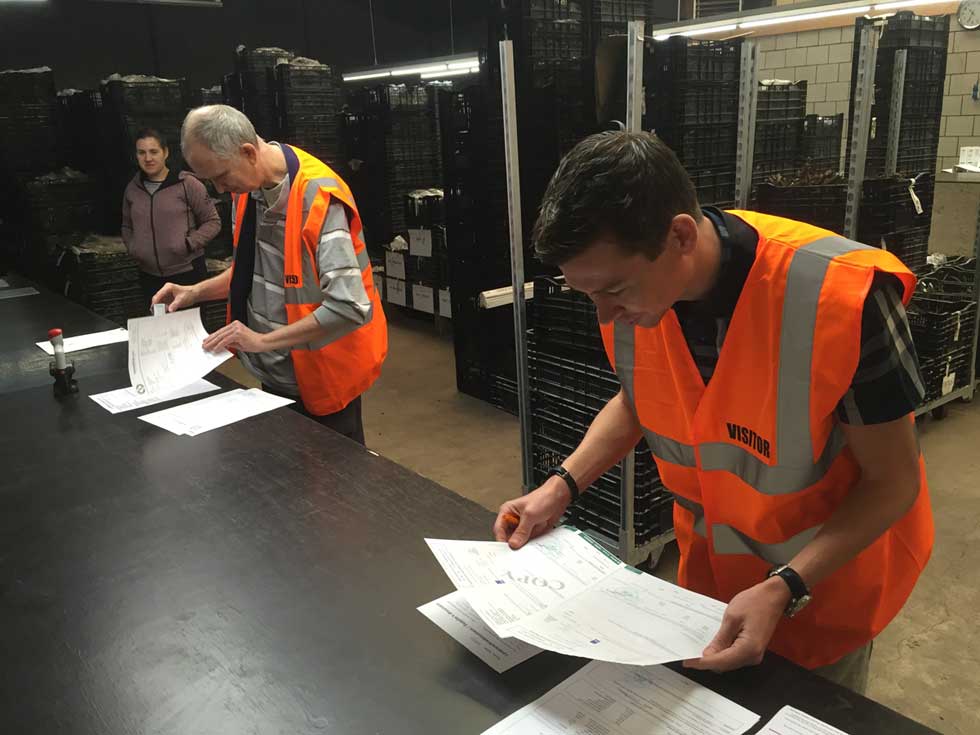 Customs clearance inspection in progress