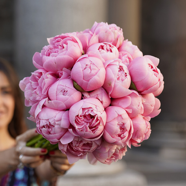 Peonies for sale for worldwide delivery